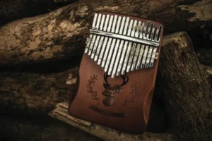 Picture of a Kalimba