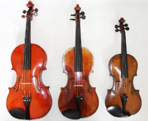 Picture of a Viola