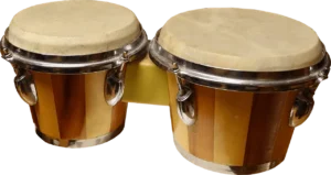 A pictue of a pair of Bongo Drums